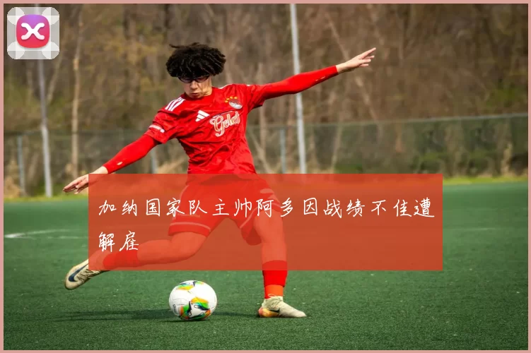 加纳国家队主帅阿多因战绩不佳遭解雇