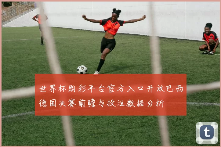 世界杯购彩平台官方入口开放巴西德国决赛前瞻与投注数据分析