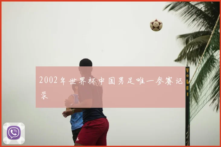 2002年世界杯中国男足唯一参赛记录
